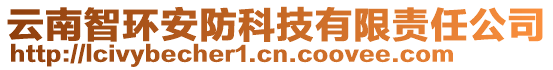 云南智環(huán)安防科技有限責(zé)任公司