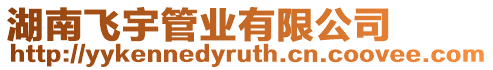 湖南飛宇管業(yè)有限公司