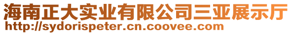 海南正大實業(yè)有限公司三亞展示廳