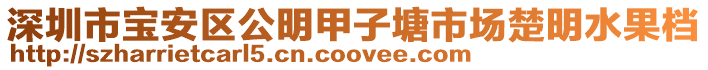 深圳市寶安區(qū)公明甲子塘市場楚明水果檔