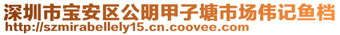 深圳市寶安區(qū)公明甲子塘市場偉記魚檔