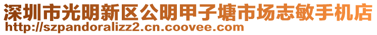 深圳市光明新區(qū)公明甲子塘市場志敏手機店