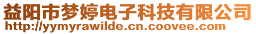 益陽市夢婷電子科技有限公司