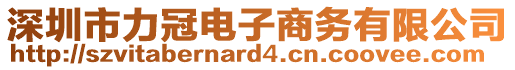 深圳市力冠電子商務有限公司