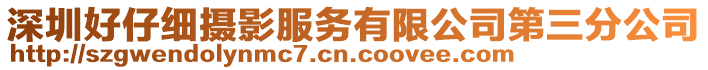 深圳好仔細攝影服務有限公司第三分公司