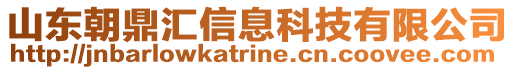 山東朝鼎匯信息科技有限公司