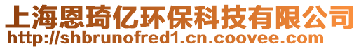 上海恩琦億環(huán)保科技有限公司