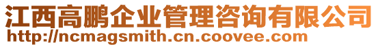 江西高鵬企業(yè)管理咨詢有限公司