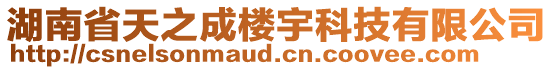 湖南省天之成楼宇科技有限公司