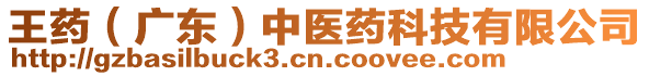 王藥（廣東）中醫(yī)藥科技有限公司