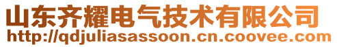 山東齊耀電氣技術(shù)有限公司