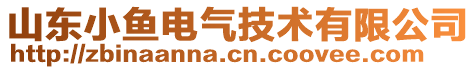 山東小魚電氣技術(shù)有限公司