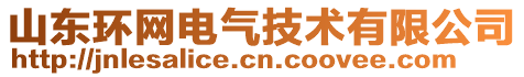 山東環(huán)網(wǎng)電氣技術(shù)有限公司