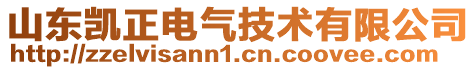 山東凱正電氣技術有限公司