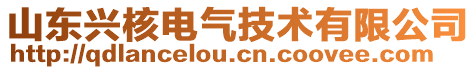 山東興核電氣技術(shù)有限公司