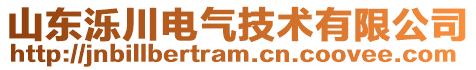 山东泺川电气技术有限公司