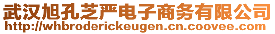 武漢旭孔芝嚴(yán)電子商務(wù)有限公司