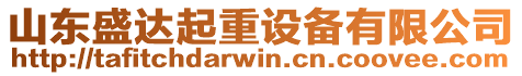 山東盛達起重設備有限公司