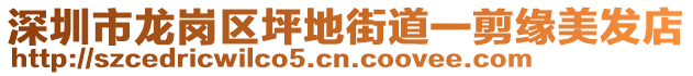 深圳市龍崗區坪地街道一剪緣美發店