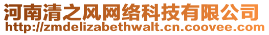 河南清之風(fēng)網(wǎng)絡(luò)科技有限公司