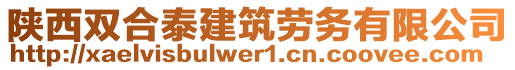 陕西双合泰建筑劳务有限公司