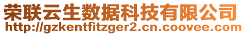 榮聯(lián)云生數(shù)據(jù)科技有限公司