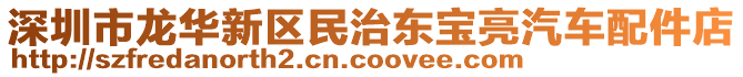 深圳市龍華新區(qū)民治東寶亮汽車配件店