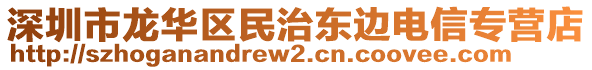 深圳市龍華區(qū)民治東邊電信專營店