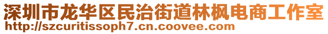 深圳市龍華區(qū)民治街道林楓電商工作室