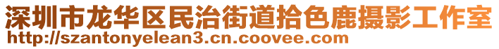 深圳市龍華區民治街道拾色鹿攝影工作室