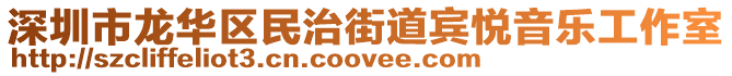 深圳市龍華區(qū)民治街道賓悅音樂工作室