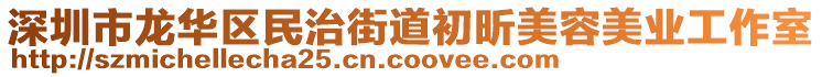 深圳市龍華區(qū)民治街道初昕美容美業(yè)工作室