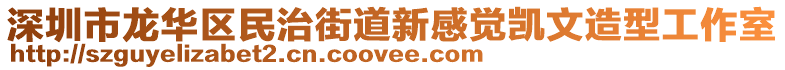 深圳市龍華區(qū)民治街道新感覺凱文造型工作室