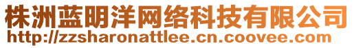 株洲藍(lán)明洋網(wǎng)絡(luò)科技有限公司