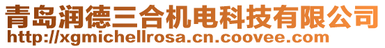 青岛润德三合机电科技有限公司