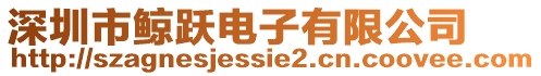 深圳市鲸跃电子有限公司