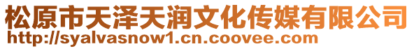 松原市天澤天潤(rùn)文化傳媒有限公司