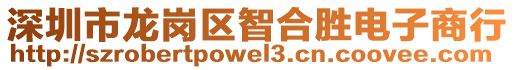 深圳市龍崗區(qū)智合勝電子商行