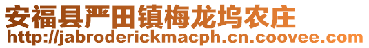 安福县严田镇梅龙坞农庄