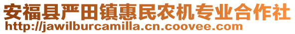 安?？h嚴(yán)田鎮(zhèn)惠民農(nóng)機(jī)專業(yè)合作社