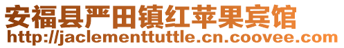 安福县严田镇红苹果宾馆