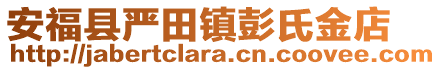 安福縣嚴(yán)田鎮(zhèn)彭氏金店