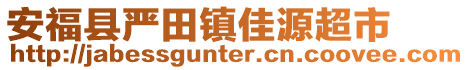 安?？h嚴(yán)田鎮(zhèn)佳源超市