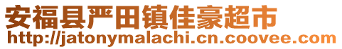 安福縣嚴(yán)田鎮(zhèn)佳豪超市