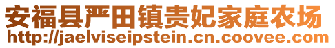 安?？h嚴田鎮(zhèn)貴妃家庭農(nóng)場