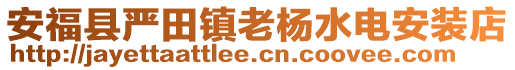 安?？h嚴田鎮(zhèn)老楊水電安裝店