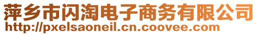 萍鄉(xiāng)市閃淘電子商務(wù)有限公司