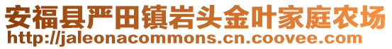 安福县严田镇岩头金叶家庭农场
