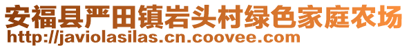 安?？h嚴(yán)田鎮(zhèn)巖頭村綠色家庭農(nóng)場