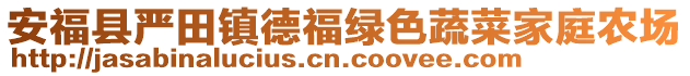 安福縣嚴(yán)田鎮(zhèn)德福綠色蔬菜家庭農(nóng)場